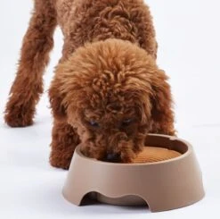 Merkloos Hondenbak - Drinkbak - Waterbak - Anti Lek - Anti Knoei - Onderweg - Anti Slobberen - Honden - Katten - Huisdieren - Zwart - Grijs - Hondenbakje - 100% Spatvrij -Dieren Product Winkel 1200x1189 14