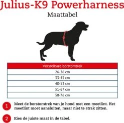Julius K9 Original Powertuig/Harnas - Fuchsia - S - Mini/49-67cm -Dieren Product Winkel 1200x1189 20