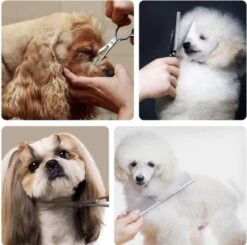 VoordeelShop 7-Delige Huisdier Knipset Met Etui - Trimmen Hond - Honden Schaar - Effileerschaar Hond - Huisdier Trimmer - Huisdier Knippen - Knipschaar Haar - Haar Schaar - Kapper - Kapperset - Scharenset -Dieren Product Winkel 1200x1190 22