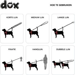 DDOXX Hondenriem Air Mesh, 3-voudig Verstelbaar, 2m | Voor Kleine & Grote Honden | Dubbele Riem Twee Honden Kat Puppy | Tug Leash Large | Lead Leash Small | Walking Leash Puppy Leash | Zwart, XS 10 DDOXX Hondenriem Air Mesh, 3-voudig Verstelbaar, 2m | Voor Kleine & Grote Honden | Dubbele Riem Twee Honden Kat Puppy | Tug Leash Large | Lead Leash Small | Walking Leash Puppy Leash | Zwart, XS -Dieren Product Winkel 1200x1191 10