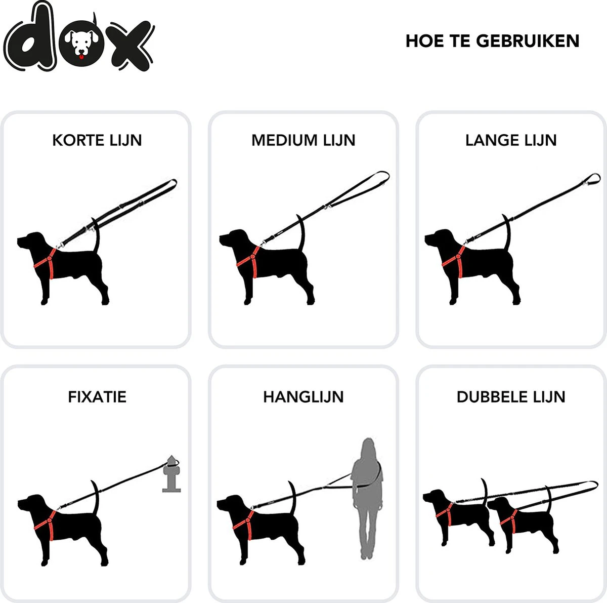 DDOXX Hondenriem Air Mesh, 3-voudig Verstelbaar, 2m | Voor Kleine & Grote Honden | Dubbele Riem Twee Honden Kat Puppy | Tug Leash Large | Lead Leash Small | Walking Leash Puppy Leash | Zwart, XS 5 DDOXX Hondenriem Air Mesh, 3-voudig Verstelbaar, 2m | Voor Kleine & Grote Honden | Dubbele Riem Twee Honden Kat Puppy | Tug Leash Large | Lead Leash Small | Walking Leash Puppy Leash | Zwart, XS - Afbeelding 5