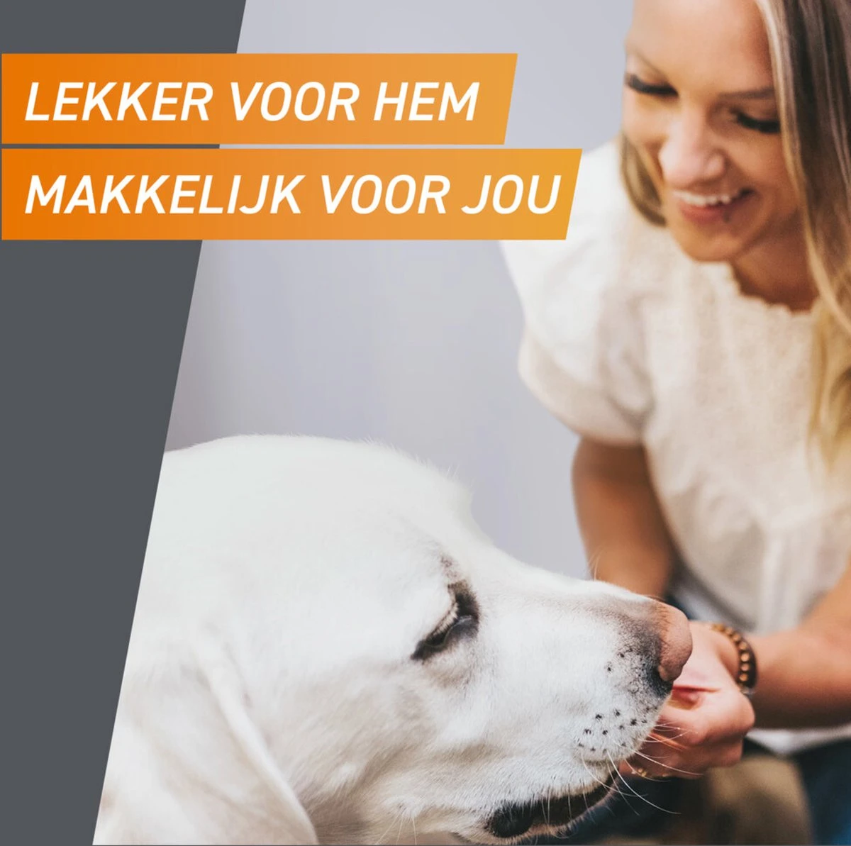 Frontpro Hond M 4-10 Kg 3 Tabletten 2 Frontpro Hond M 4-10 Kg 3 Tabletten - Afbeelding 2