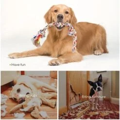 Nobleza Hondentouw - Speeltouw Hond - Flostouw Hond - Trektouw Hond - Lang - Geknoopt -Dieren Product Winkel 1200x1193 28