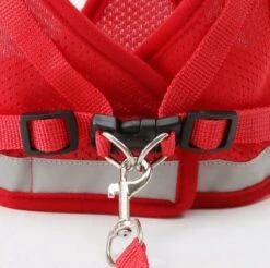 Merkloos Verstelbaar Kattentuigje Reflecterend - Kattenharnas - Kattentuig Met Looplijn - Rood - Maat M 6 Merkloos Verstelbaar Kattentuigje Reflecterend - Kattenharnas - Kattentuig Met Looplijn - Rood - Maat M -Dieren Product Winkel 1200x1194 4