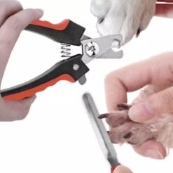 Merkloos Professionele Nagelschaar - Dieren Nagelschaar - Rood & Zwart - Honden Nagelknipper - Hondennagels - Honden Knip Schaar - Honden Knipsch 10 Merkloos Professionele Nagelschaar - Dieren Nagelschaar - Rood & Zwart - Honden Nagelknipper - Hondennagels - Honden Knip Schaar - Honden Knipsch -Dieren Product Winkel 1200x1195 17