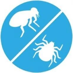 Frontline Spot-On Anti Vlooienmiddel Kat - 6 Pipetten 14 Frontline Spot-On Anti Vlooienmiddel Kat - 6 Pipetten -Dieren Product Winkel 1200x1195