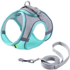 Hondentuigje Voor Kleine Puppy's & Kleine Honden - Blauw - Maat M -Dieren Product Winkel 1200x1195 36