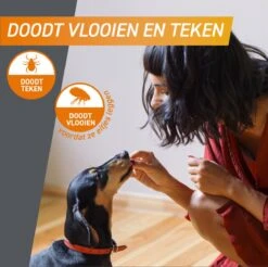 Frontpro Hond M 4-10 Kg 3 Tabletten 12 Frontpro Hond M 4-10 Kg 3 Tabletten -Dieren Product Winkel 1200x1195 40