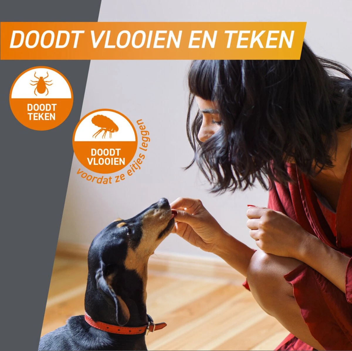 Frontpro Hond M 4-10 Kg 3 Tabletten 3 Frontpro Hond M 4-10 Kg 3 Tabletten - Afbeelding 3