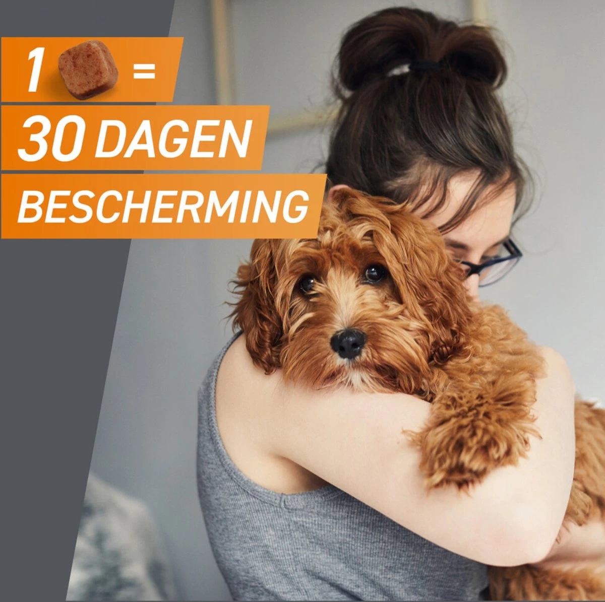 Frontpro Hond M 4-10 Kg 3 Tabletten 4 Frontpro Hond M 4-10 Kg 3 Tabletten - Afbeelding 4