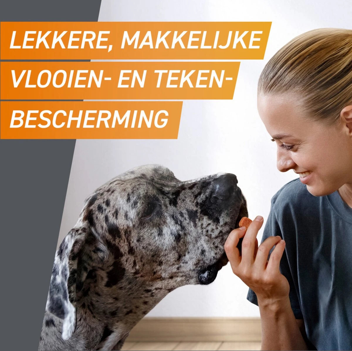 Frontpro Hond M 4-10 Kg 3 Tabletten 5 Frontpro Hond M 4-10 Kg 3 Tabletten - Afbeelding 5