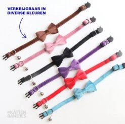 Kattenhalsband Velvet Met Strik | Halsband Kat | Kattenband Velours | Kattenbandje Velvet Met Strik, Veiligheidssluiting En Belletje In Roze -Dieren Product Winkel 1200x1197 18