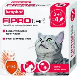 Beaphar Fiprotec Kat - Vlooienbestrijding - >1 Kg - 4 Pipetten -Dieren Product Winkel 1200x1197