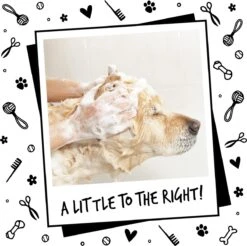 Bugalugs - Hondenshampoo - One In A Million - Alle Vachttypes - Fles Met Pompje - Vegan - 500 Ml -Dieren Product Winkel 1200x1197 31