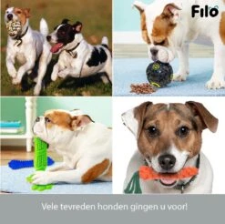 Filo Honden Speelgoed Set 14 Stuks - Hondenspeeltjes Knuffel - Hondenbal - Flostouw - Bot - Frisbee - Hondentouw - Hondenspeelgoed Intelligentie - Kauwspeelgoed Hond En Puppy - Bijtspeelgoed Hondenknuffel - Hondenspeeltje Met Piep -Dieren Product Winkel 1200x1197 56
