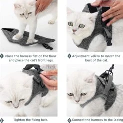 Kattentuig Met Riem, Set, Ontsnappingsbestendig Kattenharnas, Verstelbaar En Zacht, -Dieren Product Winkel 1200x1198 12