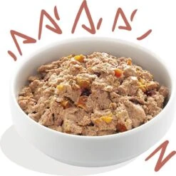 11x Edgard & Cooper Kuipje Vers Vlees Senior Hondenvoer Kip - Zalm 150 Gr -Dieren Product Winkel 1200x1198 55