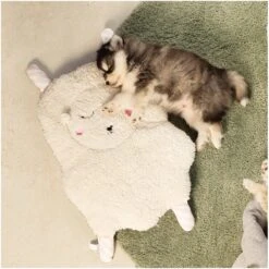 Beeztees Puppy Sjiepo - Hondenspeelgoed - Wit - 40x22x5 Cm -Dieren Product Winkel 1200x1198 59