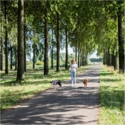 Rebel Petz - Dubbele Verstelbare Hondenriem Voor Twee Honden - Met Draaibare Sluiting En Zacht Handvat - Small En Large - Large (140 Cm Lang, Ø 12 Mm) -Dieren Product Winkel 1200x1199 27