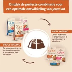 Wellness Core Grain Free Cat Sterilised - Zalm - Kattenvoer - 1.75 Kg -Dieren Product Winkel 1200x1199 3
