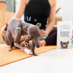 Merkloos Edgard & Cooper Doggy Dental Sticks Aardbei - Frisse Muntolie Small 17 Merkloos Edgard & Cooper Doggy Dental Sticks Aardbei - Frisse Muntolie Small -Dieren Product Winkel 1200x1199 53