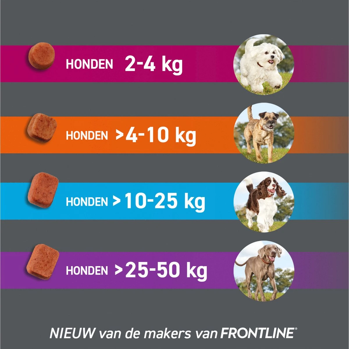Frontpro Hond M 4-10 Kg 3 Tabletten 9 Frontpro Hond M 4-10 Kg 3 Tabletten - Afbeelding 9