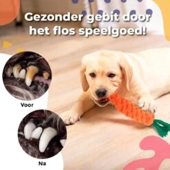 Luxury Diversity - Honden Speelgoed - 12 Honden Speeltjes - Puppy Speelgoed - Honden - Honden Speelgoed Intelligentie -Dieren Product Winkel 1200x1199 61