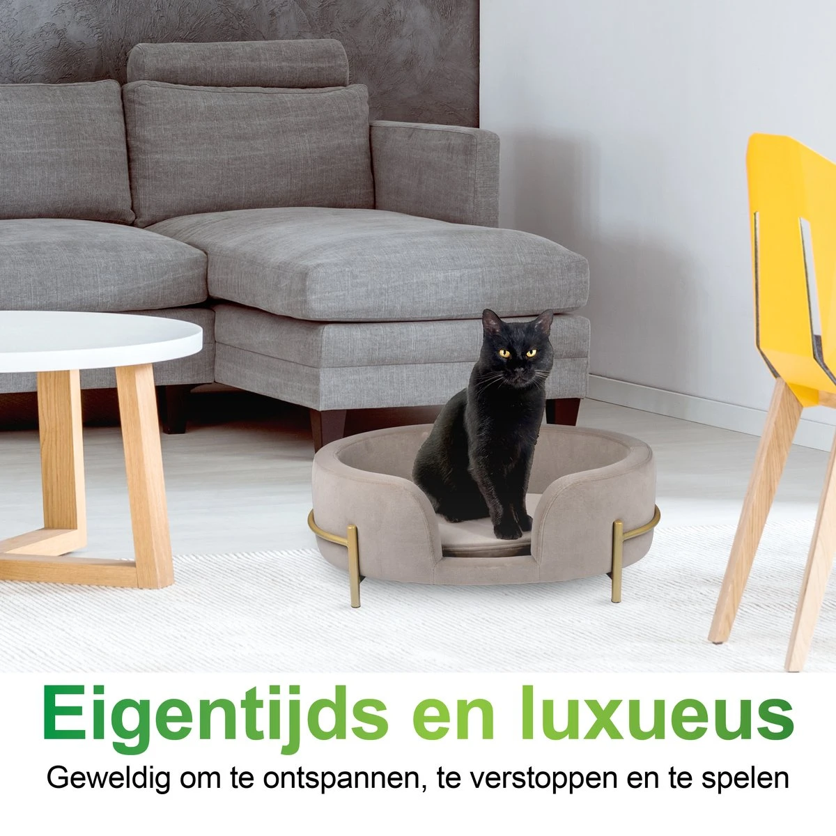 Maxxpro Pet Bed - Huisdieren Tot 80KG - Zacht Fluwelen Kussen - Verhoogd Katten- En Hondenbed - Grijs - 60,5 X 40,5 X 23,5 Cm 4 Maxxpro Pet Bed - Huisdieren Tot 80KG - Zacht Fluwelen Kussen - Verhoogd Katten- En Hondenbed - Grijs - 60,5 X 40,5 X 23,5 Cm - Afbeelding 4