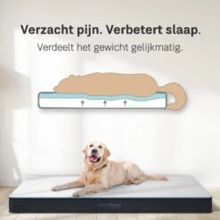 CozySense® - Orthopedisch Hondenkussen - Hondenkussen 90 X 55 Cm - Ook Geschikt Als Benchkussen & Hondenbed - Hondenkussen Bank - Traagschuim - Waterdicht - Wasbare Hoes - Maat L -Dieren Product Winkel 1200x1200 1030