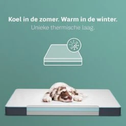 CozySense® - Orthopedisch Hondenkussen - Hondenkussen 90 X 55 Cm - Ook Geschikt Als Benchkussen & Hondenbed - Hondenkussen Bank - Traagschuim - Waterdicht - Wasbare Hoes - Maat L -Dieren Product Winkel 1200x1200 1031