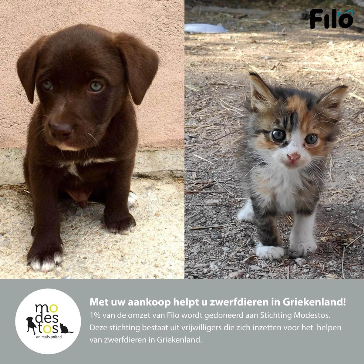 Filo Elastische Hondenriem Groot - Hardlopen En Wandelen - Hardloopriem Hond Handsfree Met Heuptasje - Looplijn Met Heupriem - Canicross Gordel Honden - Riemen - Heupgordel - Leiband 9 Filo Elastische Hondenriem Groot - Hardlopen En Wandelen - Hardloopriem Hond Handsfree Met Heuptasje - Looplijn Met Heupriem - Canicross Gordel Honden - Riemen - Heupgordel - Leiband - Afbeelding 9