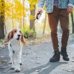 Hondenriem Tape - 5 Meter - Medium - Voor Honden <25 Kg - Zwart-Wit -Dieren Product Winkel 1200x1200 1060