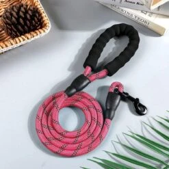 Comfortabele Hondenriem Met Gevoerd Handvat – Stevige Nylon Hondenlijn – Riem Voor Honden -Dieren Product Winkel 1200x1200 1063