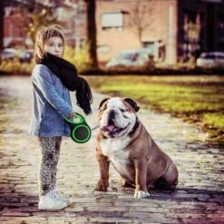 IGOODS - Hondenriem - Katten Riem - Uitlaatriem Voor Honden En Katten - Honden Riem- Rollijn - 5 Meter Lang -Dieren Product Winkel 1200x1200 1066