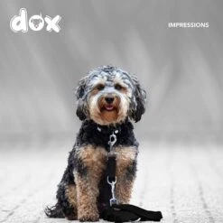 DDOXX Hondenriem Air Mesh, 3-voudig Verstelbaar, 2m | Voor Kleine & Grote Honden | Dubbele Riem Twee Honden Kat Puppy | Tug Leash Large | Lead Leash Small | Walking Leash Puppy Leash | Zwart, XS 11 DDOXX Hondenriem Air Mesh, 3-voudig Verstelbaar, 2m | Voor Kleine & Grote Honden | Dubbele Riem Twee Honden Kat Puppy | Tug Leash Large | Lead Leash Small | Walking Leash Puppy Leash | Zwart, XS -Dieren Product Winkel 1200x1200 1078