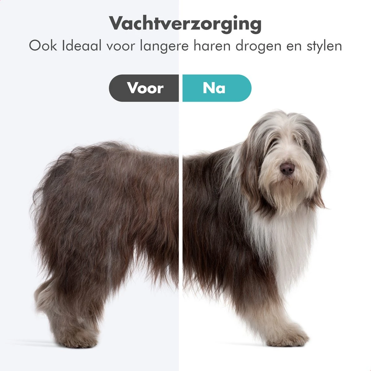 BURCH PetCare Ace - Waterblazer Voor Honden - Handzame Hondenföhn - RVS Borstel - 500W 2 BURCH PetCare Ace - Waterblazer Voor Honden - Handzame Hondenföhn - RVS Borstel - 500W - Afbeelding 2