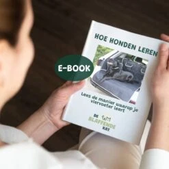 De Blaffende Kat Wasdrogerbollen - Droger Ballen - Huisdier Haarverwijderaar - 4 Wasbollen Voor Wasmachine En Droger -Dieren Product Winkel 1200x1200 1126