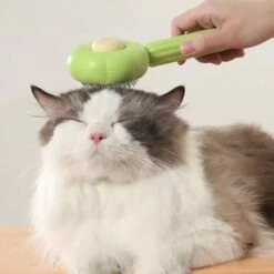 QT Petshop - Haarverwijderaar Voor Huisdieren - Groene Kattenborstel - Furminator Hondenborstel - Anti-Klit - Diervriendelijk - Dierenverzorging -Dieren Product Winkel 1200x1200 1178