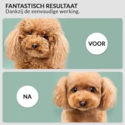 Krachtige Hondenföhn/ Waterblazer Met Draaiknop Om Overtollig Water En Stof Snel Uit De Vacht Te Blazen | Verstelbare Vermogen Standen (500W Tot 2200W) En Verstelbare Temperatuur - Type B Oranje -Dieren Product Winkel 1200x1200 1206