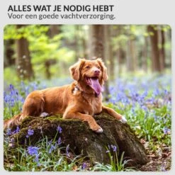 Krachtige Hondenföhn/ Waterblazer Met Draaiknop Om Overtollig Water En Stof Snel Uit De Vacht Te Blazen | Verstelbare Vermogen Standen (500W Tot 2200W) En Verstelbare Temperatuur - Type B Oranje -Dieren Product Winkel 1200x1200 1207