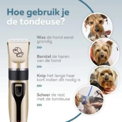 BYER Professionele Dieren Tondeuse Set - Voor Huisdieren Katten & Honden - Draadloos - Oplaadbare Pet Trimmer - Dog Tondeuze Clipper - 5 Standen & Vier Opzetkammen - Low Noise -Dieren Product Winkel 1200x1200 1238