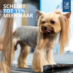 YE™ Professionele Dieren/honden Tondeuse Set Extra Krachtig - Honden Trimmer - Lang Of Kortharige Huisdieren Katten & Honden - Draadloos - Weinig Geluid -Dieren Product Winkel 1200x1200 1266