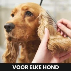 Hondentondeuse - Honden & Katten - Trimmer - Geluidsloos -Dieren Product Winkel 1200x1200 1275