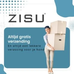 Hondentondeuse - Hondentrimmer - Dieren Tondeuse - Draadloos - 4 Opzetkammen - INCLUSIEF SNACKJE - Zwart -Dieren Product Winkel 1200x1200 1281