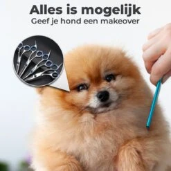 VoordeelShop 7-Delige Huisdier Knipset Met Etui - Trimmen Hond - Honden Schaar - Effileerschaar Hond - Huisdier Trimmer - Huisdier Knippen - Knipschaar Haar - Haar Schaar - Kapper - Kapperset - Scharenset -Dieren Product Winkel 1200x1200 1289
