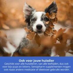 Sensipharm Omniderma Voor Kat, Hondje, Cavia, Konijn - Voedingssupplement Voor Huid En Vacht, Bij Jeuk, Eczeem & Hotspot - 90 Tabletten à 250 Mg -Dieren Product Winkel 1200x1200 13