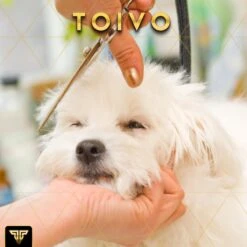 Toivo Schaar Voor Dieren - Zilver - Effileerscharen - Honden Scharenset - Dierenschaar - Set 5 Stuks - Trimscharen - Trimset - Uitdunschaar Hond - Schaar Honden -Dieren Product Winkel 1200x1200 1305