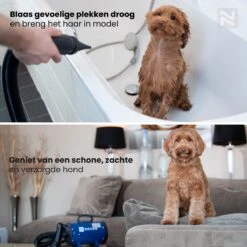 Nuvoo Professionele Hondenföhn / Waterblazer / Hondenborstel Met 3 Opzetstukken - Verstelbare Vermogen Tot 2200W - Warme / Koude Stand - Rood -Dieren Product Winkel 1200x1200 1316