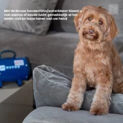 Nuvoo Professionele Hondenföhn / Waterblazer / Hondenborstel Met 3 Opzetstukken - Verstelbare Vermogen Tot 2200W - Warme / Koude Stand - Rood -Dieren Product Winkel 1200x1200 1318