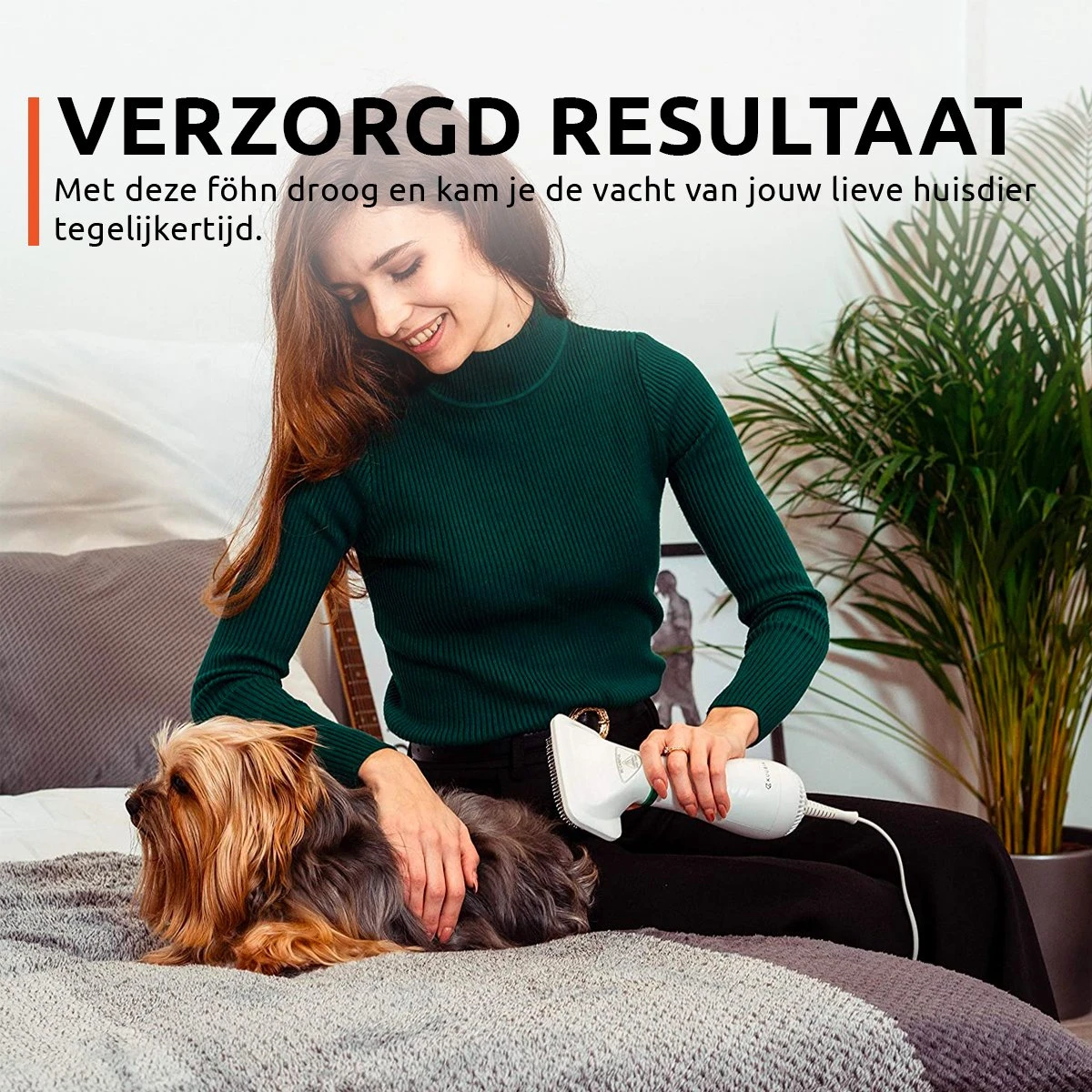 PetGoods 2-in-1 Hondenföhn – Föhn & Borstel - Honden & Katten - Low Noise 4 PetGoods 2-in-1 Hondenföhn – Föhn & Borstel - Honden & Katten - Low Noise - Afbeelding 4